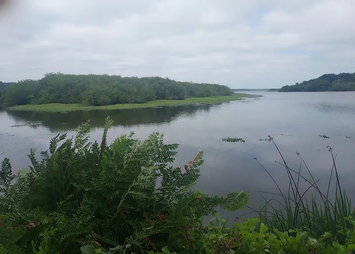 Camping Mobil-home 4 Personnes Aureilhan (Landes)